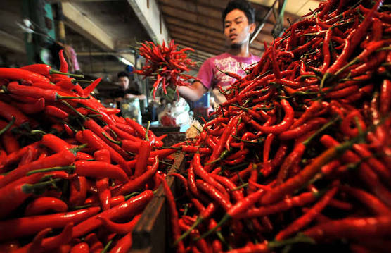 Monitoring Harga Cabai Merah